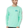Quiksilver Comp Logo Long Sleeve Screen Tee | Shirts & Tops