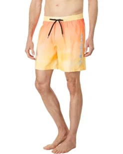 Quiksilver Everyday Breeze 17" Volley | Swimwear