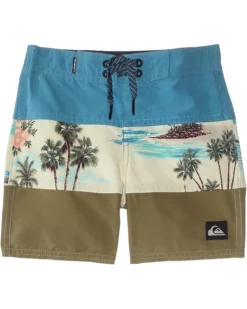 Quiksilver Kids Everyday Panel (Little Kids) | Shorts