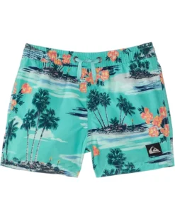 Quiksilver Kids Everyday Mix Volley (Little Kids) | Shorts