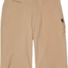 Quiksilver Kids Union Amphibian 19" (Big Kids) | Shorts