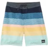 Quiksilver Kids Everyday Massive (Big Kids) | Shorts