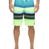 Quiksilver Everyday Stripe Vee 21" Boardshorts | Swimwear