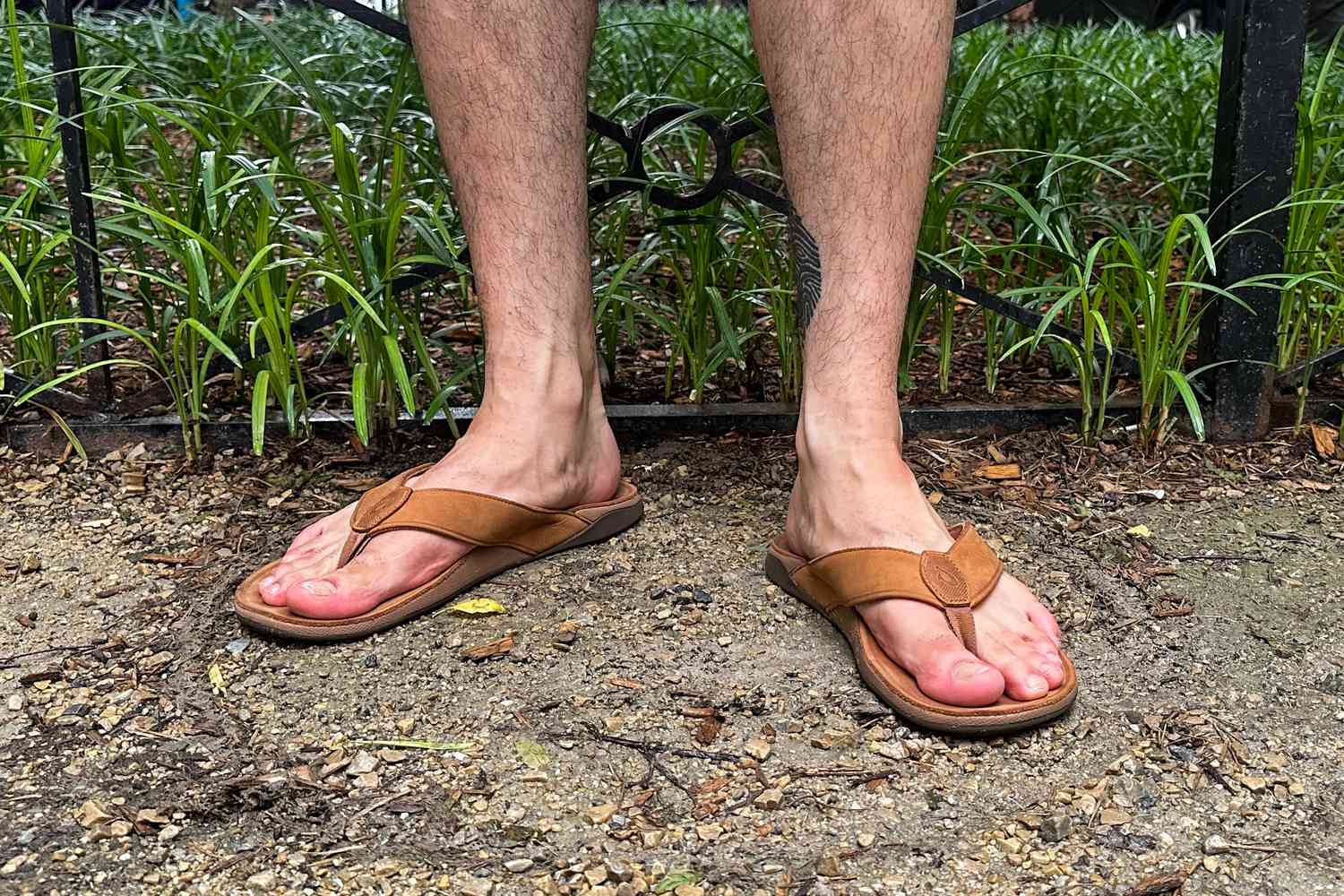 Shoe Trendy Shop -Shoe Trendy Shop tal comfortable mens sandals may 24 test olukai tuahine peter weckend 16 b18a51b90a12435089c0158aa543ea33